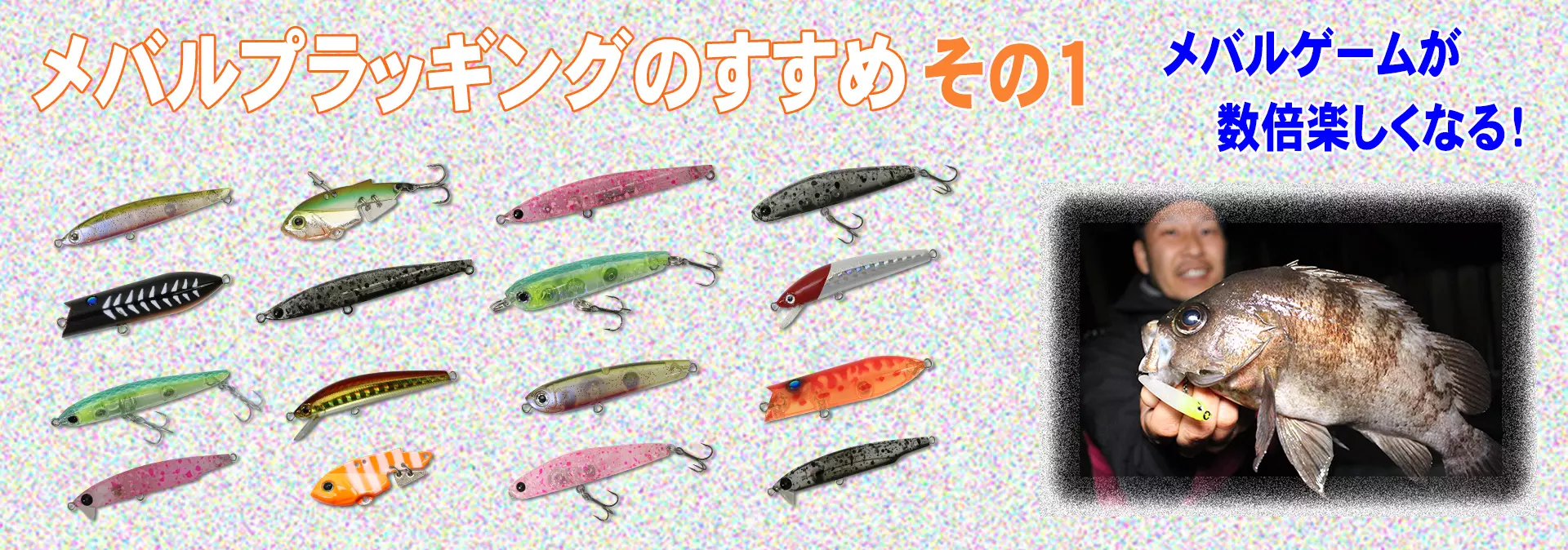 30 | おすすめコンテンツ | バスデイ株式会社