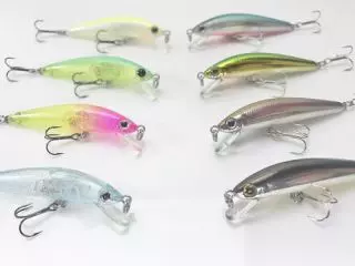 14 | おすすめコンテンツ | バスデイ株式会社