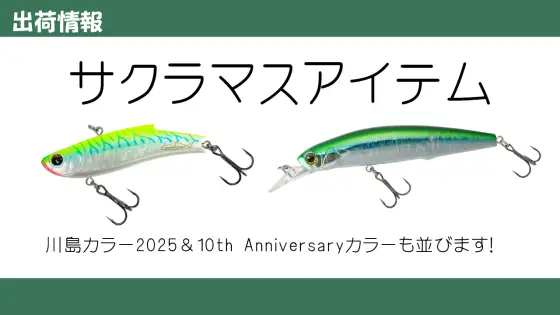 965 | 新着情報 | バスデイ株式会社