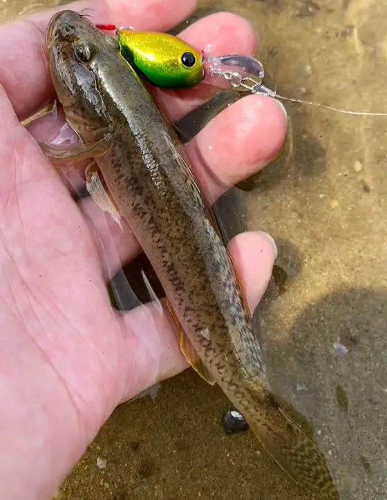 1849 | フィールドレポート | バスデイ株式会社