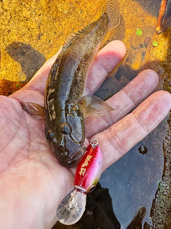 1873 | フィールドレポート | バスデイ株式会社