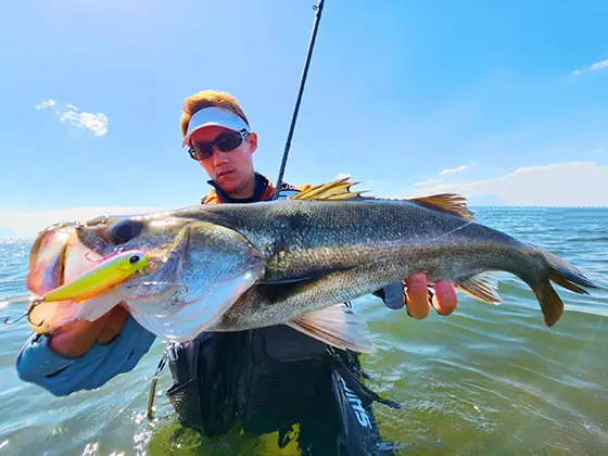 バス釣り 雑談バス釣り「どっちの釣りが好きですか？」ドッグXjrで釣れたw