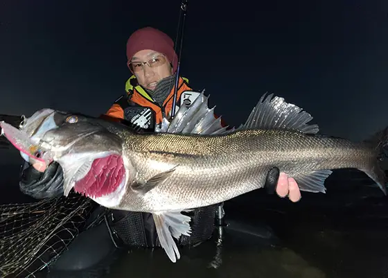 フィールドレポート | バスデイ株式会社