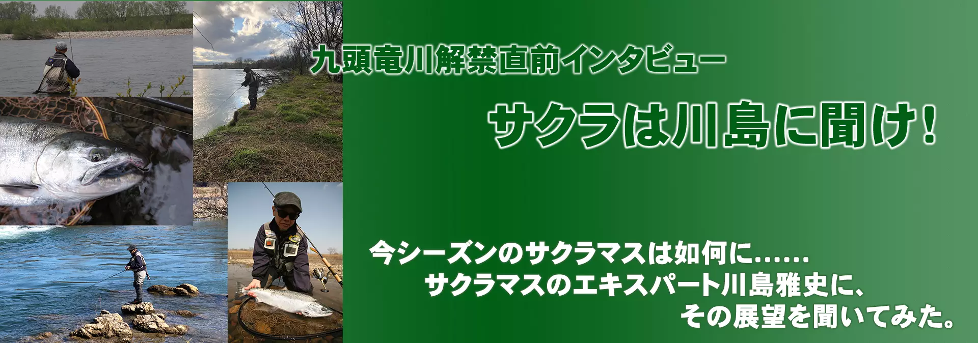 21 | おすすめコンテンツ | バスデイ株式会社
