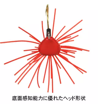 19 | おすすめコンテンツ | バスデイ株式会社