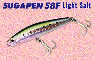 31 | おすすめコンテンツ | バスデイ株式会社