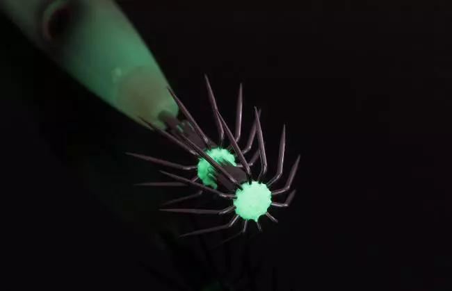 バンジー タル スピード | オフショア | 製品情報 | バスデイ株式会社