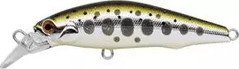バスディ シュガーミノー（SUGAR MINNOW） 50F G