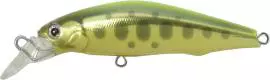 バスディ シュガーミノー（SUGAR MINNOW） 50F G