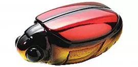 Bassday Beetle Kobun - Esca Galleggiante Da 1.3g Per Pesca In Superficie - Coloratissima E Pronta All'Uso!