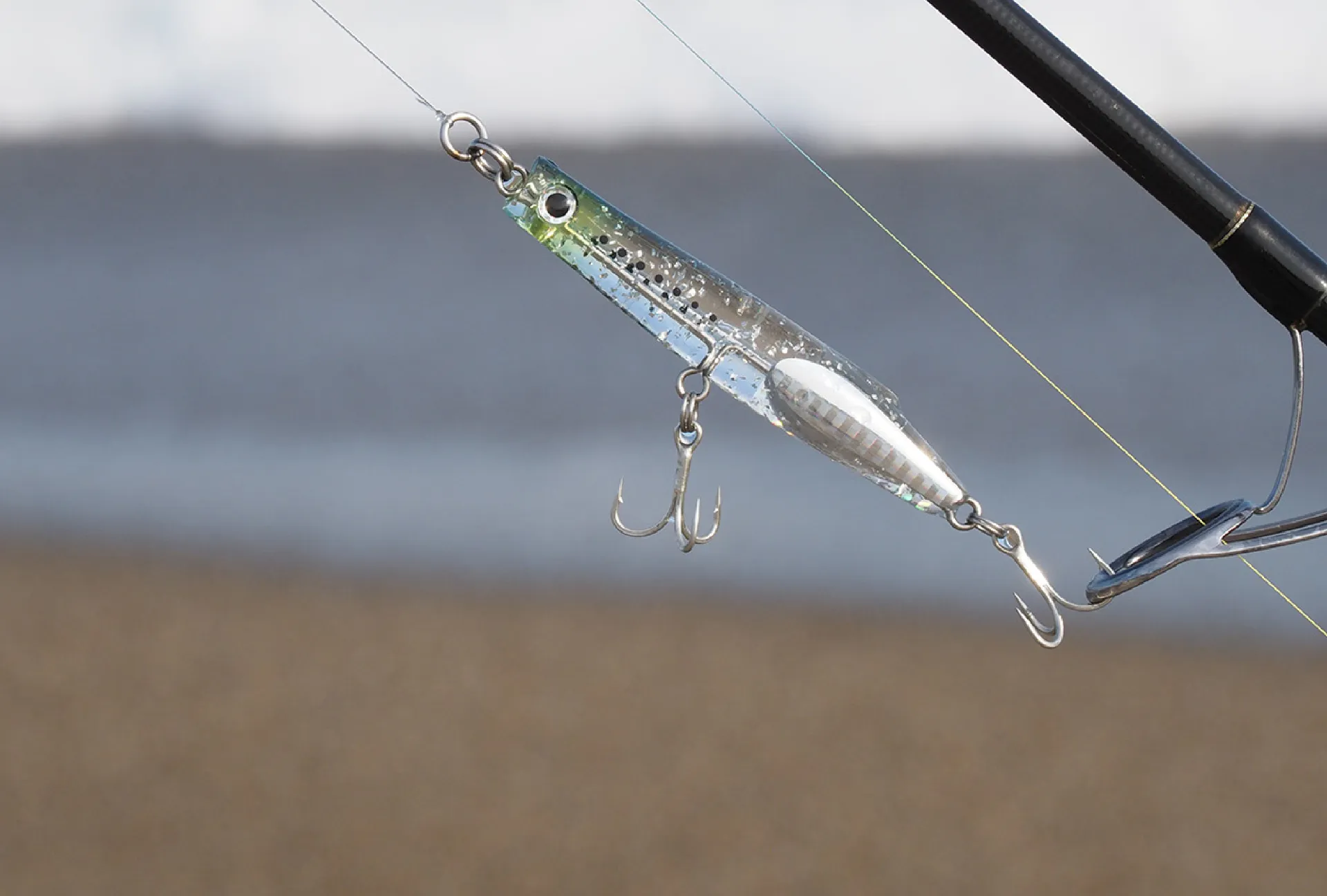 51 | おすすめコンテンツ | バスデイ株式会社