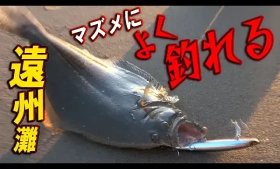 【YouTube動画アップ：遠州灘サーフでマズメに青物、ヒラメが良く釣れる釣り方があるらしい・・・】