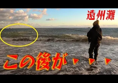 【YouTube動画アップ：遠州灘であいつが釣れる季節がやってきた！？】