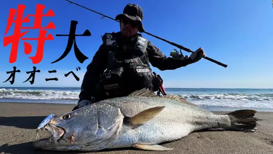 【YouTube動画アップ：怪魚オオニベを求めてサーフへ、メーター越えを釣り上げた！！激闘の後編】