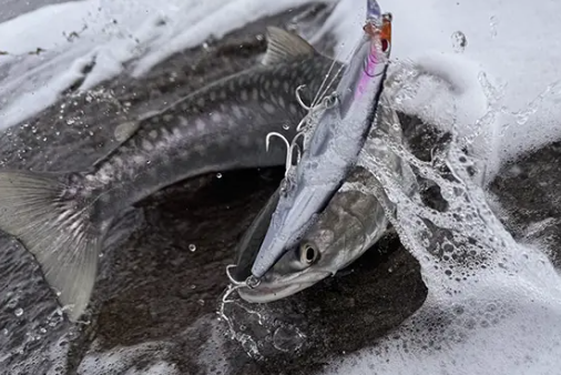 北海道の真冬の釣り （P.N ようすけ 様）