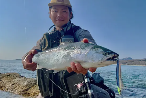 オーディン95Sで初サクラ （オーディン95S PRモニター P.N ようすけ 様）