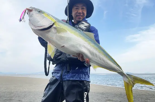 オーディン95Sで青物ゲーム！ （フィールドスタッフ 神村 達矢）