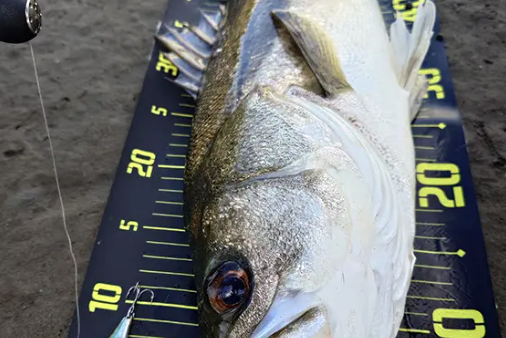 気づけば釣場は2人だけ （P.N ちゃぼん 様）