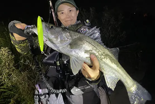 ナイトはレモングローが強し （P.N チコ 様）