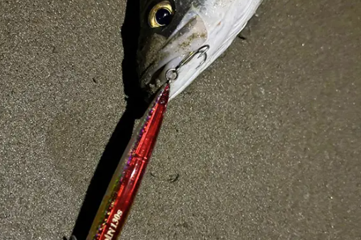 フェードアカキン 1年ちょっとの釣果 （P.N van 様）
