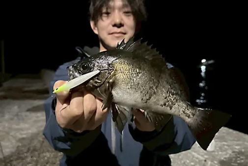 ゴミ溜まりの下をS.P.M.65で （奥城 優也 様）