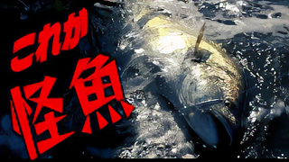 【YouTube動画アップ：砂浜モンスター！怪魚を求めて日向灘サーフに行ったらメーター越えのあいつを釣り上げた！？激闘の前編】