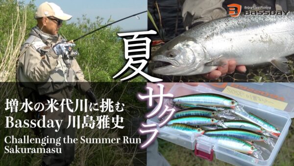 【YouTube動画アップ：2025年 米代川夏サクラを求めて 川島雅史が挑戦】