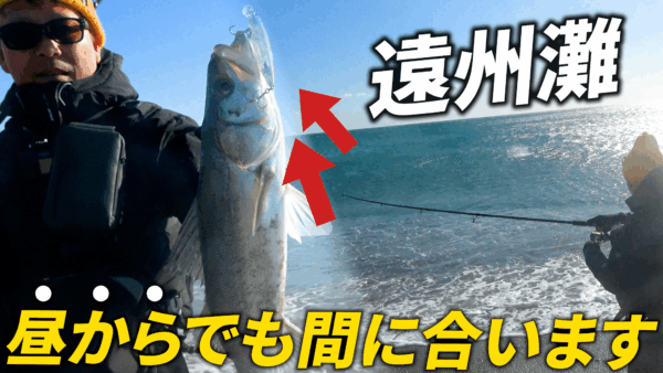 【YouTube動画アップ：遠州灘サーフ 人がいない昼の釣行が意外と穴場でした…】