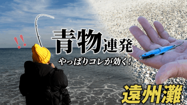 【YouTube動画アップ：遠州灘サーフ 青物連発！あのジグが絶好調の日】