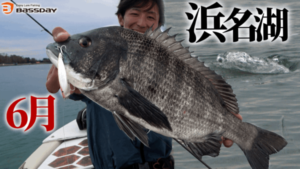 【YouTube動画アップ：チヌトップ浜名湖の6月のポテンシャル！！】