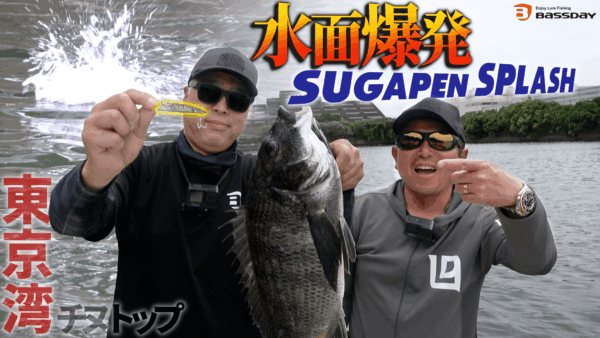 【YouTube動画アップ：水面爆発！！SUGAPEN SPLASHで狙う東京湾チヌトップ！！】
