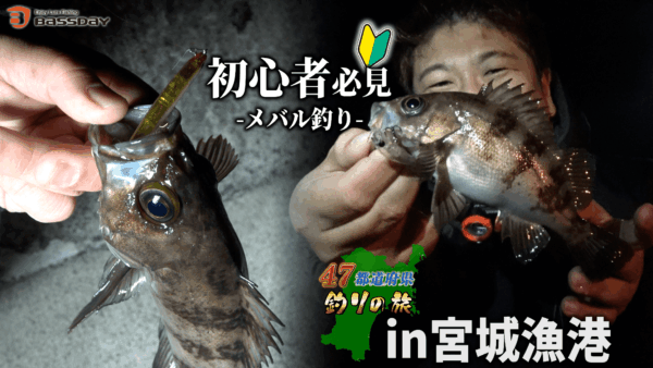 【YouTube動画アップ：宮城県・牡鹿半島・漁港メバル  誰でも釣れる方法を教えます】