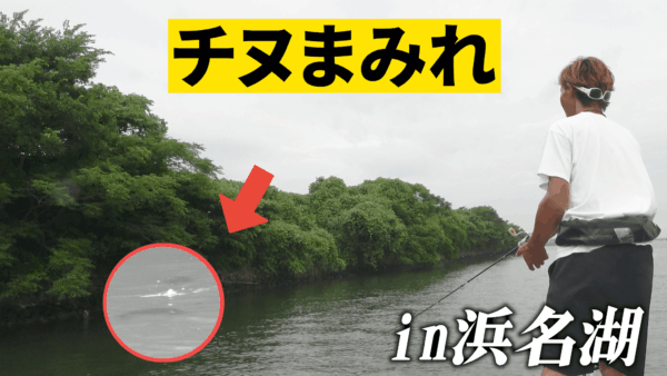 【YouTube動画アップ：トップチヌ炸裂!来年新作ルアーで挑んだ結果…】