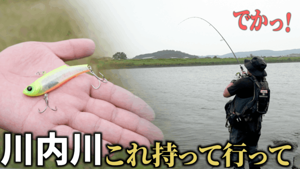 【YouTube動画アップ：〈デイゲーム〉 鹿児島県の名フィールド・川内川で 釣りをしたらアレがきた！】