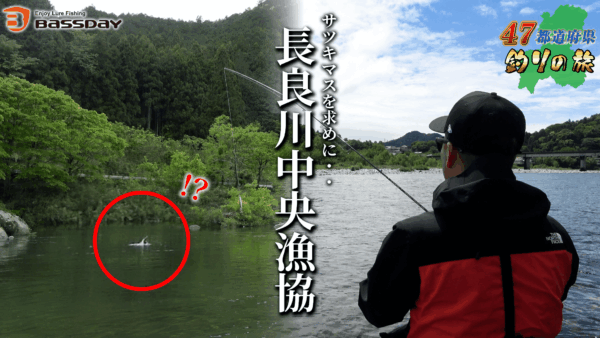 【YouTube動画アップ：長良川へサツキマスを求めに釣りに行ったら色々起きました…】