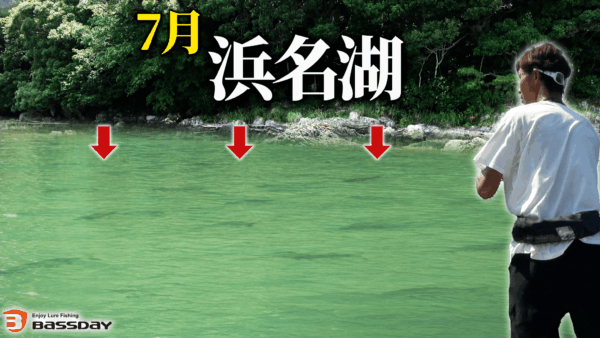 【YouTube動画アップ：これが7月の浜名湖の現実です】