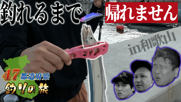 【YouTube動画アップ：新カラー検証! 和歌山で釣れなきゃ帰れない太刀魚釣り】