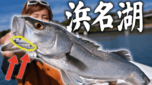 【YouTube動画アップ：シーバス狙うには..あのルアーが良すぎた件】
