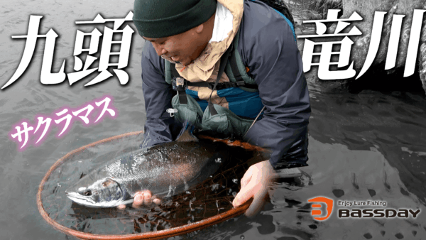 【YouTube動画アップ：九頭竜川 幻のサクラマス、ついにやりました。】