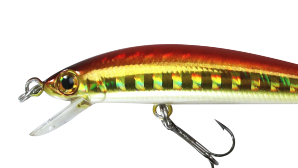 SUGAR MINNOW 50F/S SALT