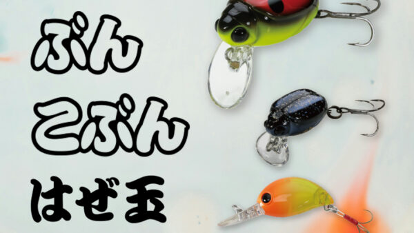 【出荷情報】ぶん・こぶん・はぜ玉・はぜむしSS