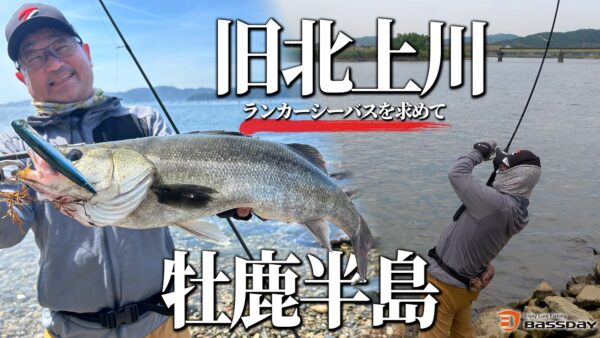 【YouTube動画アップ：2026年6月宮城県 旧北上川と牡鹿半島藻シーバス攻略　果たしてランカーシーバス釣れるのか 　～ランカーシーバスを求めて～】