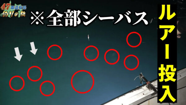 【YouTube動画アップ：47都道府県釣りの旅 第5話 静岡県・浜名湖で「えびすき漁」を満喫】