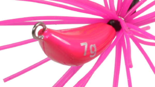 紅ショウガ 7g