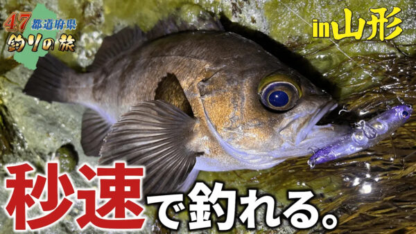 【YouTube動画アップ：47都道府県釣りの旅　第4話山形県編】
