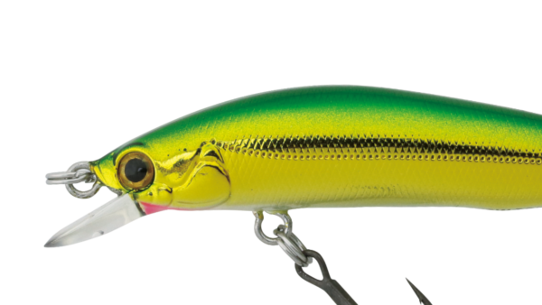 SUGAR MINNOW SG 50F