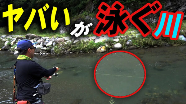 【YouTube動画アップ：愛知県から日帰りの限界の地で渓流釣りをしたら…】