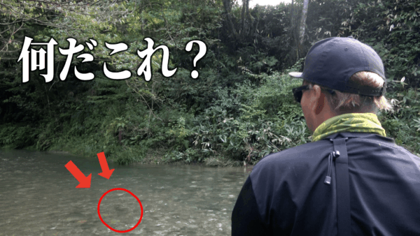 【YouTube動画アップ：今年最後の渓流釣りで、 　もののふフローティングテストしていたら…】