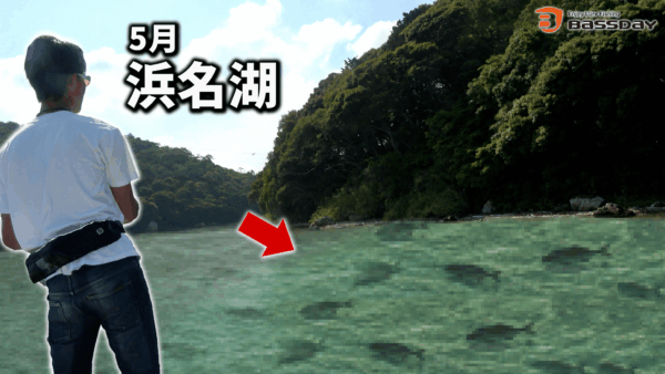 【YouTube動画アップ：これが初夏の浜名湖のリアルです】