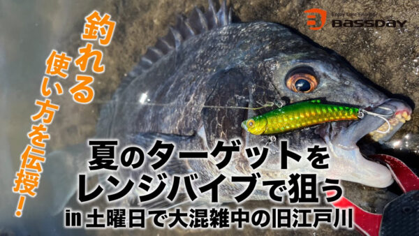 【YouTube動画アップ ：釣れる使い方伝授! 夏のターゲットをレンジバイブで狙うin土曜日で大混雑中の旧江戸川】